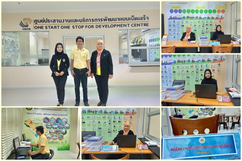 Mol-Thailand